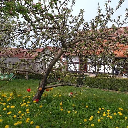 Pension Toepferhof Bad Berka Eksteriør bilde